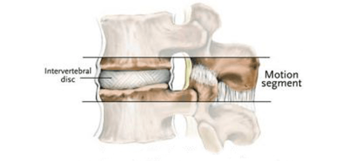 Segmental dysfunction of thoracic region