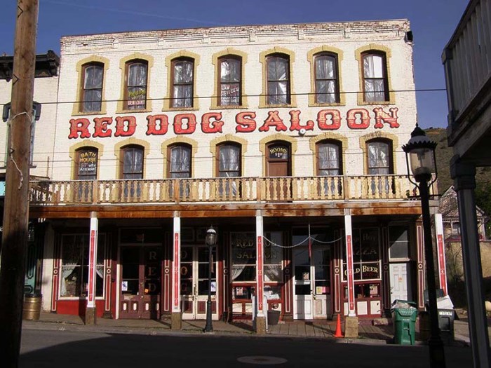 Virginia saloon dog nv