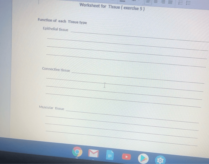 Physio epithelial tissues review worksheet