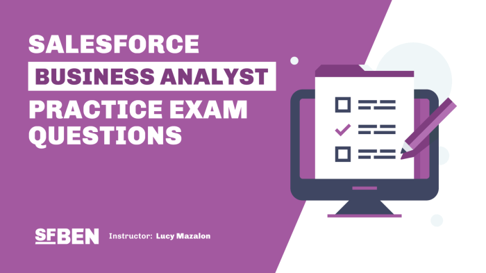 Salesforce business analyst practice exam