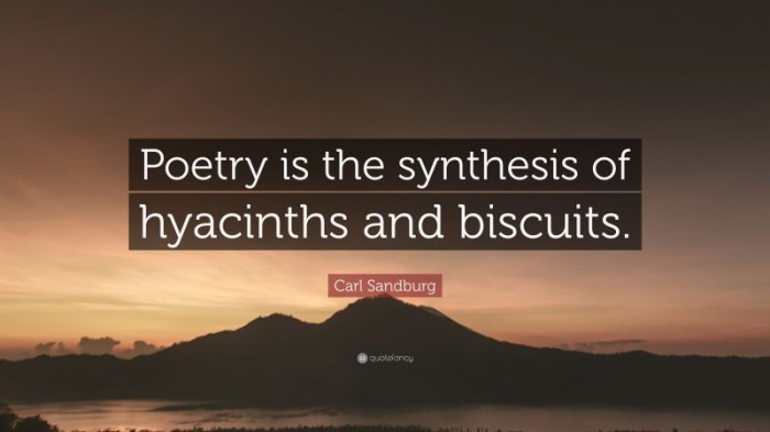 Defines poetry as the synthesis of hyacinths and biscuits