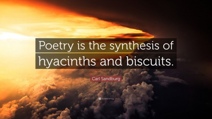 Defines poetry as the synthesis of hyacinths and biscuits