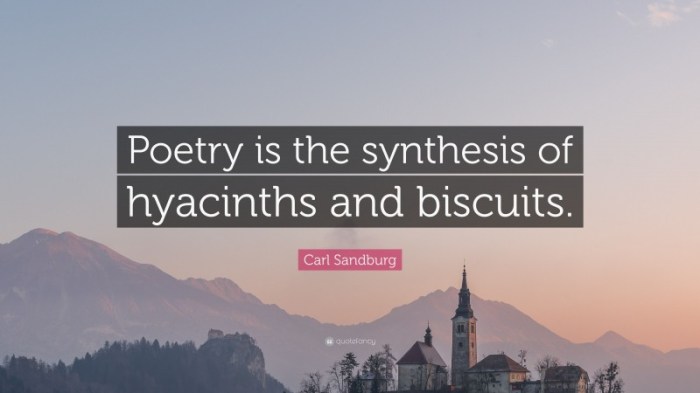 Defines poetry as the synthesis of hyacinths and biscuits