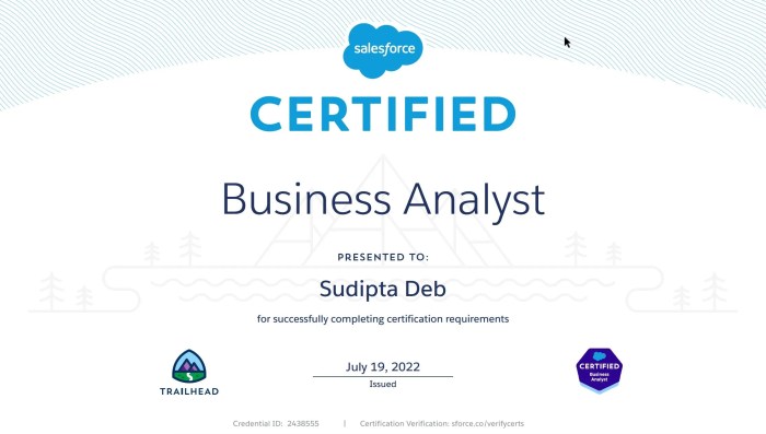 Salesforce business analyst practice exam